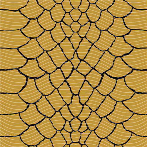 holographic Big- 488